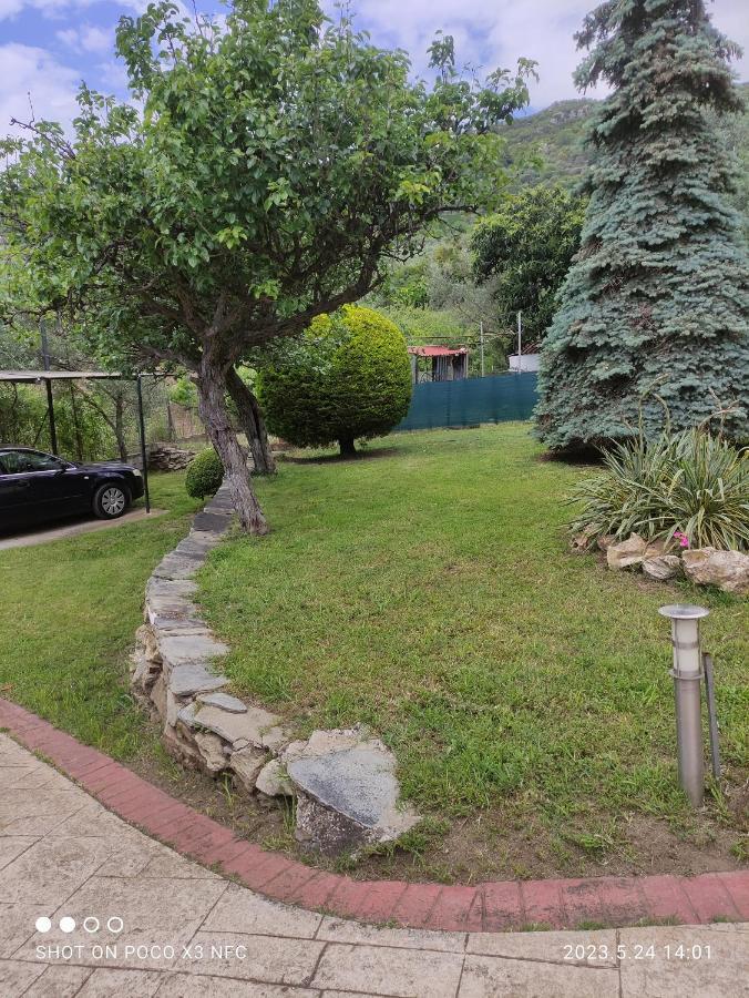 Willa Garden House PalaiónTsiflíkion Zewnętrze zdjęcie